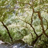  Samaria Gorge